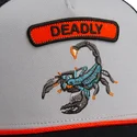 mutsid-kumer-veok-hall-snapback-escorpion-pop-rocker-scorpion-the-farm-the-farm-de-goorin-bros