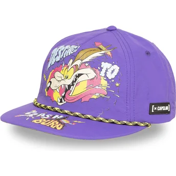 Mütsid lame violetne snapback LOO13 DTCB koiott Looney Tunes Capslab