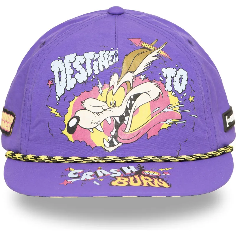 mutsid-lame-violetne-snapback-loo13-dtcb-koiott-looney-tunes-capslab