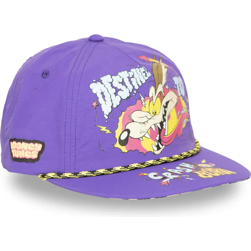 mutsid-lame-violetne-snapback-loo13-dtcb-koiott-looney-tunes-capslab