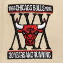 mutsid-lame-must-snapback-across-the-board-chicago-bulls-nba-mitchell-ness