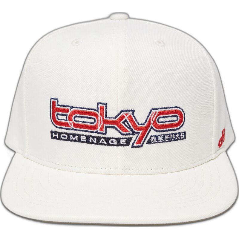 mutsid-lame-kreemjas-snapback-tkysky-skylines-the-snap-homenage