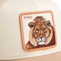 cap-kumer-beige-snapback-the-farm-de-goorin-bros