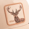 cap-kumer-beige-snapback-the-farm-de-goorin-bros