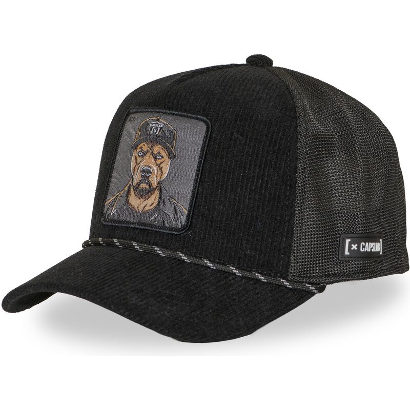 mutsid-kumer-veok-must-snapback-bad-dog-hip-badb-hip-hop-dogz-hip-hop-dogz-capslab