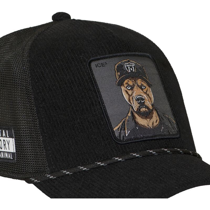 mutsid-kumer-must-snapback-bad-dog-badb-hip-hop-dogz-capslab
