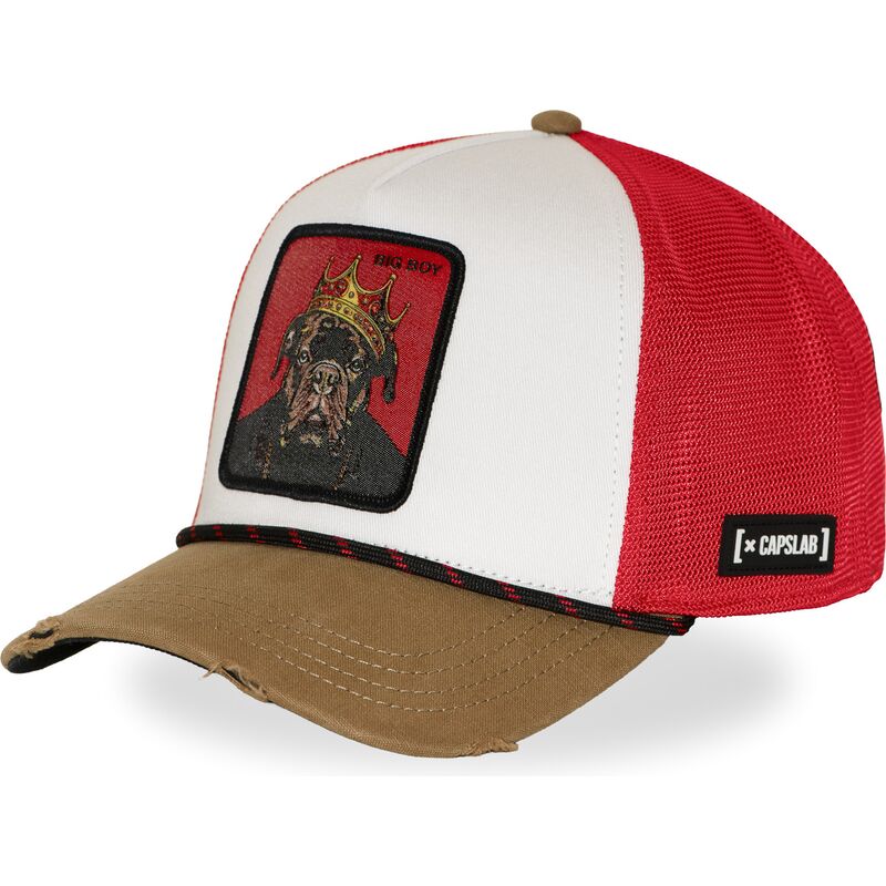 cap-kumer-multicolor-snapback-hip-hop-dogz-capslab