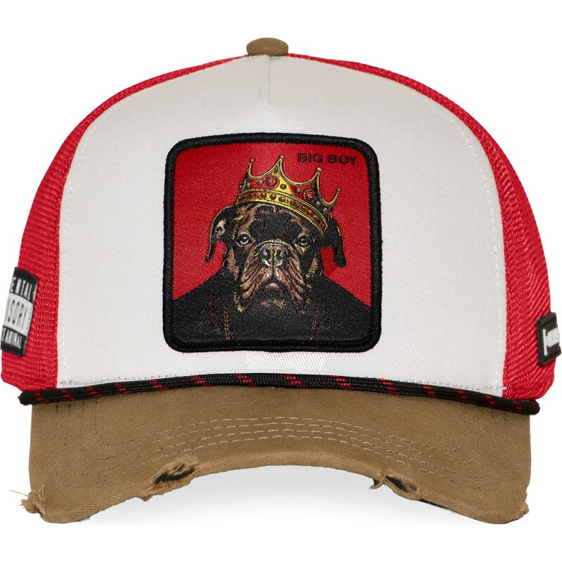 cap-kumer-multicolor-snapback-hip-hop-dogz-capslab