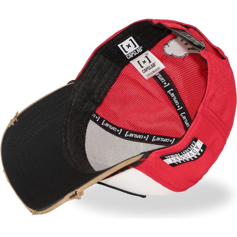 mutsid-kumer-mitmevarviline-snapback-big-boy-bigb-hip-hop-dogz-capslab