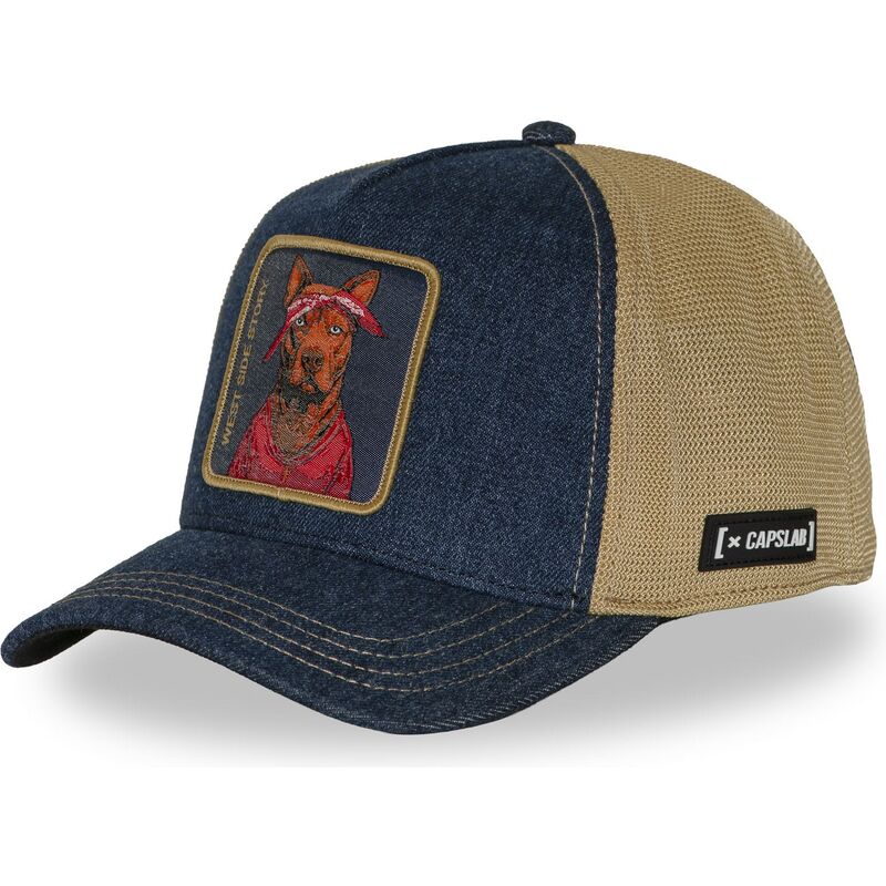 mutsid-kumer-mitmevarviline-snapback-west-side-story-wesb-hip-hop-dogz-capslab