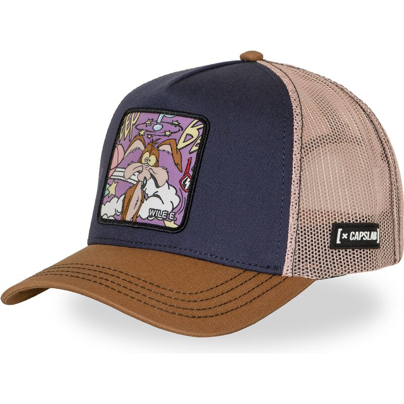 mutsid-kumer-mitmevarviline-snapback-loo13-wilb-koiott-looney-tunes-capslab