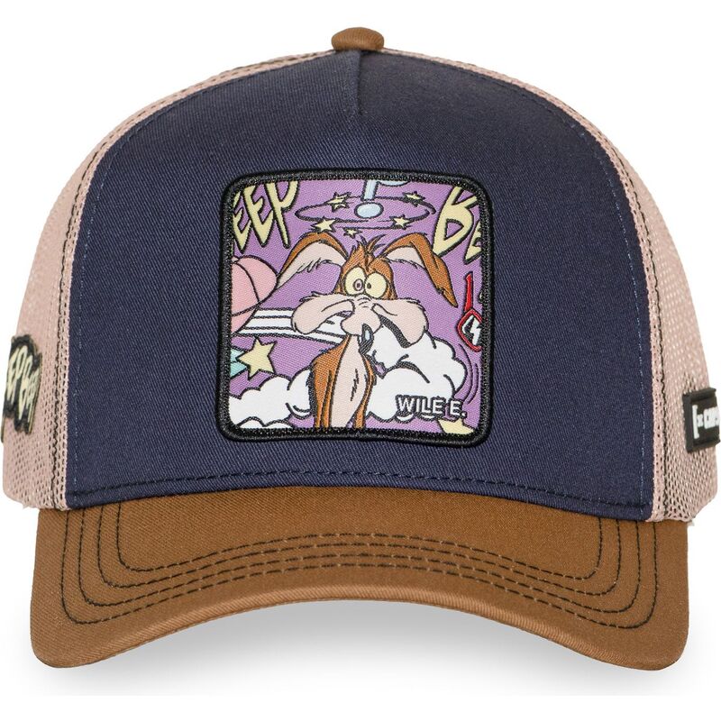 mutsid-kumer-mitmevarviline-snapback-loo13-wilb-koiott-looney-tunes-capslab