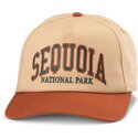 mutsid-kumer-pruun-snapback-roscoe-sequoia-national-park-american-needle
