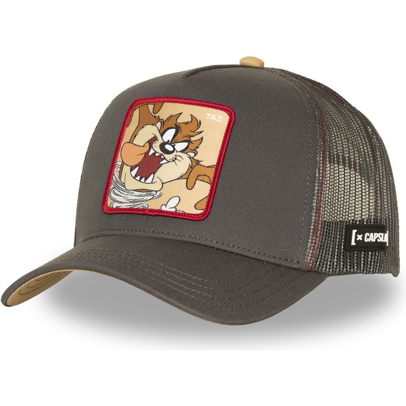mutsid-kumer-pruun-snapback-tasmaania-kurat-looney-tunes-capslab