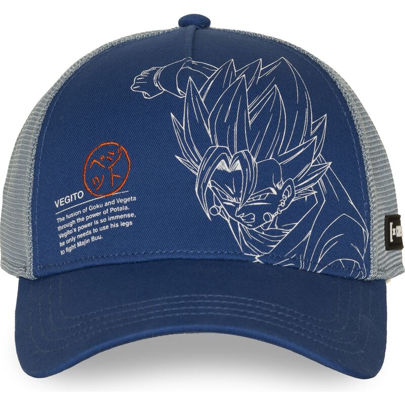 mutsid-kumer-sinine-snapback-dbz11-pcbitob-vegito-dragon-ball-capslab
