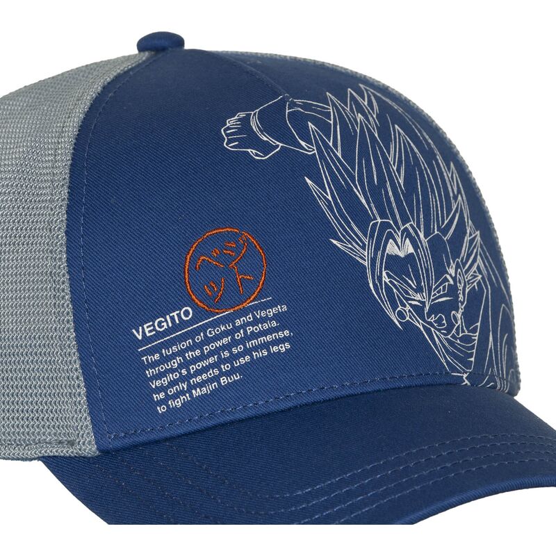 mutsid-kumer-sinine-snapback-dbz11-pcbitob-vegito-dragon-ball-capslab