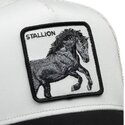 mutsid-kumer-valge-snapback-digital-stallion-split-decision-the-farm-goorin-bros