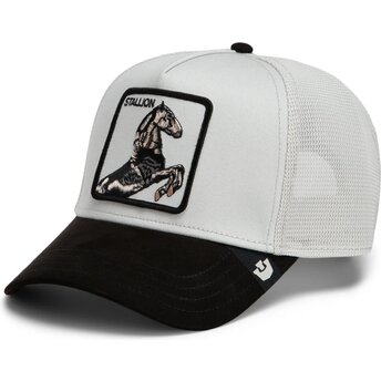 Mütsid kumer hall snapback Suede Stallion Microsuede The Farm Goorin Bros.