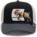 mutsid-kumer-mitmevarviline-snapback-banger-migration-the-farm-goorin-bros